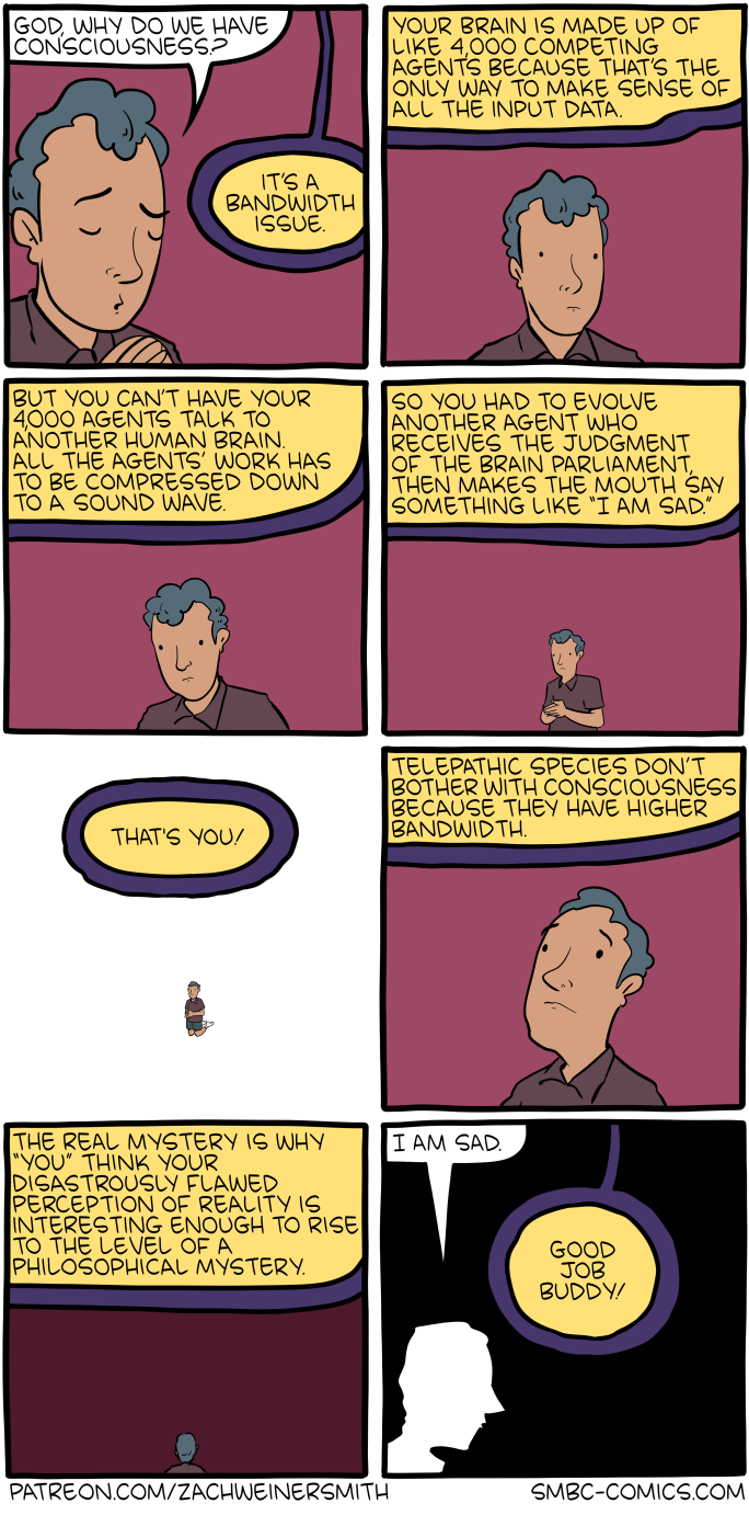 [strip]