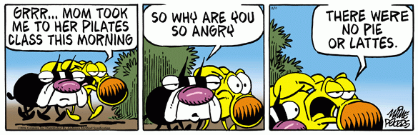 [strip]